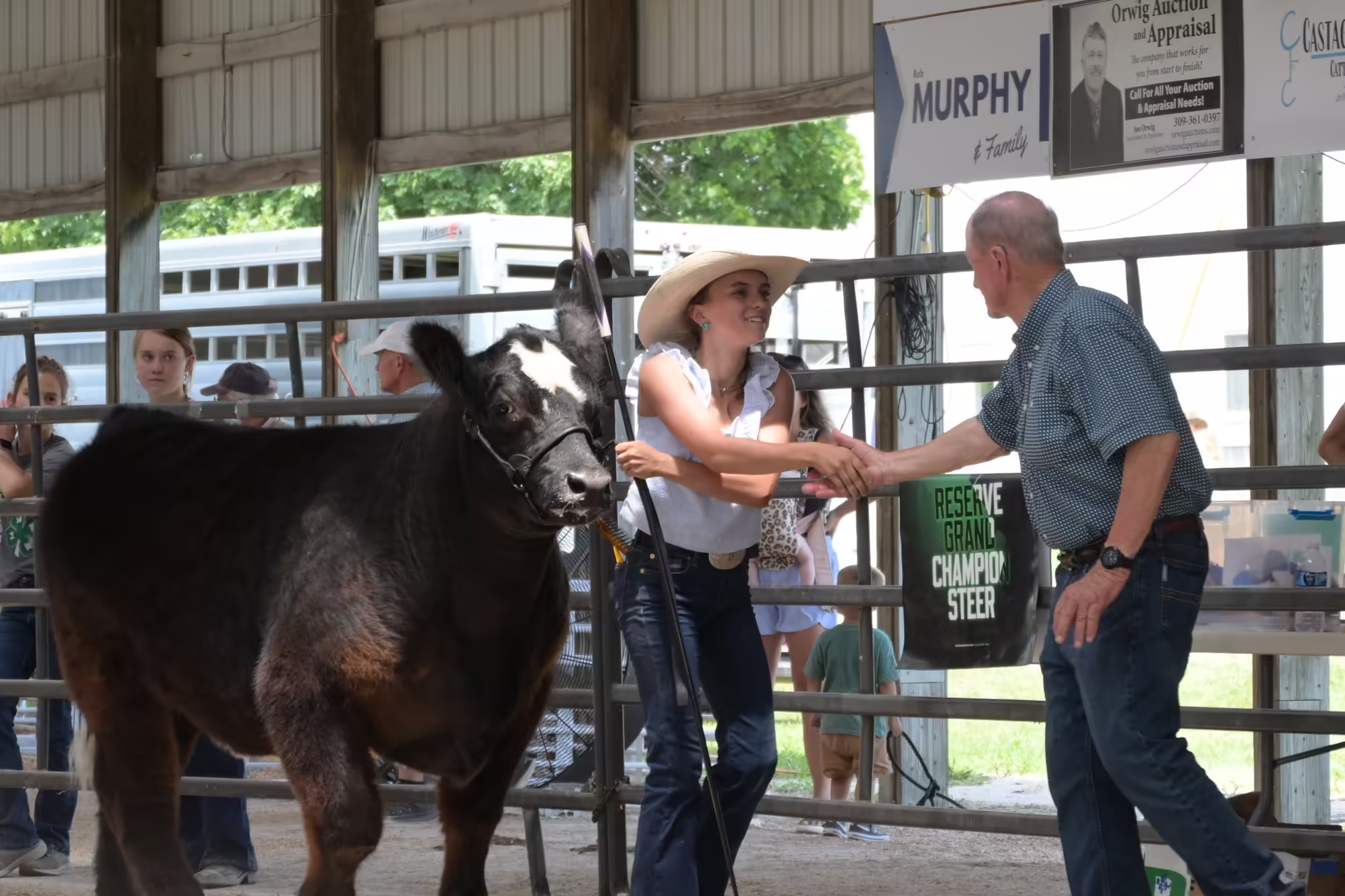 a girl showing a steer