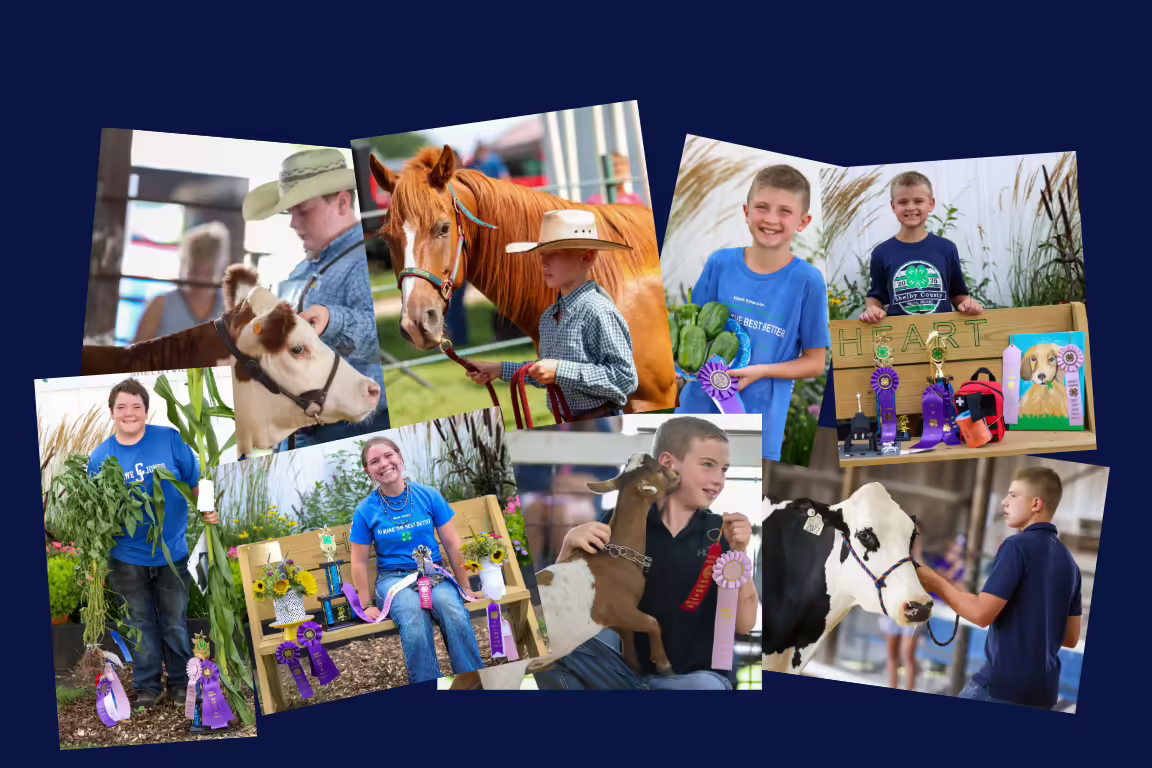 Kids with animals, produce, visual arts projects with ribbons and trophies.