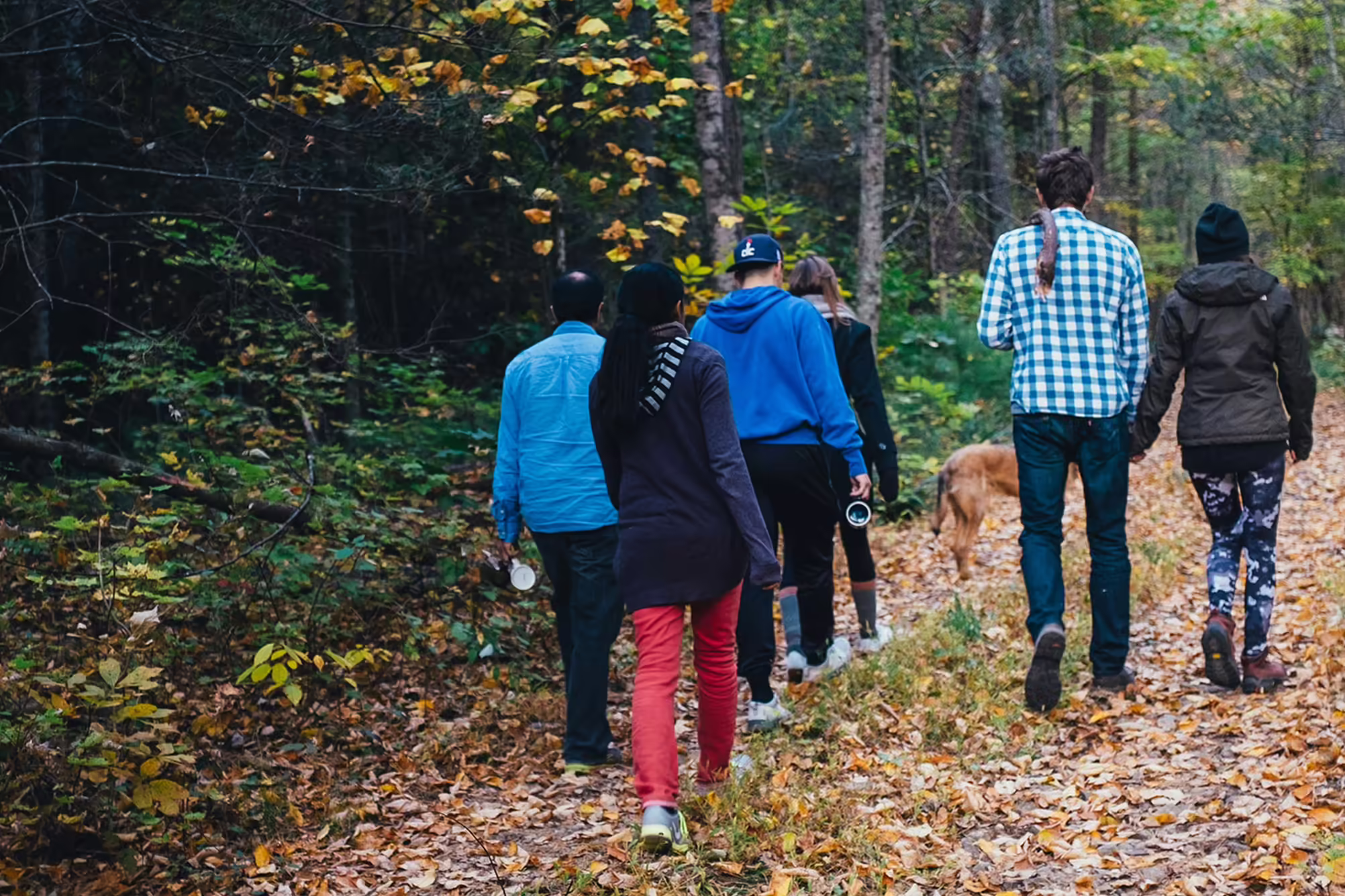 group of people walking on fall leaves