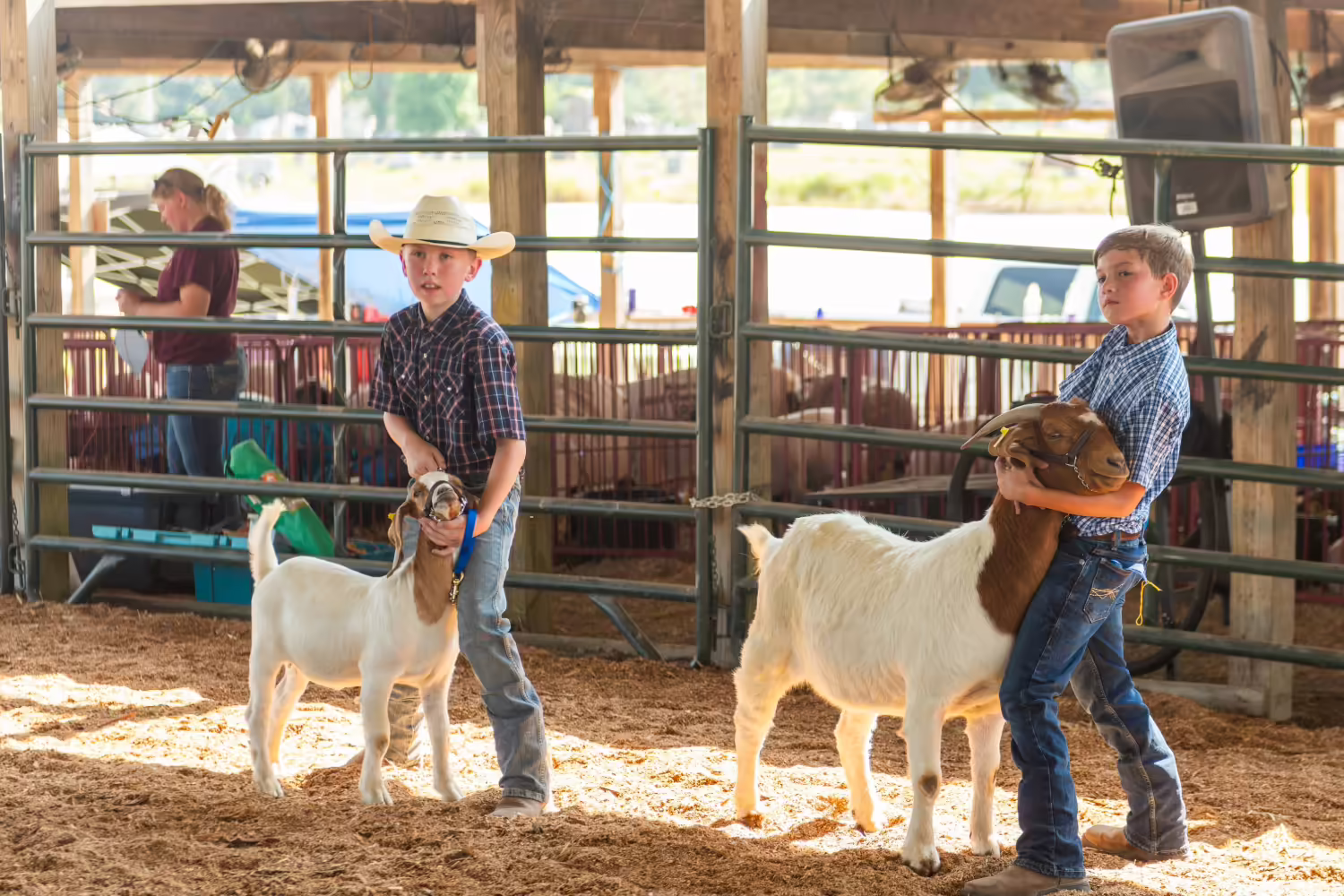 2 boys showing goats