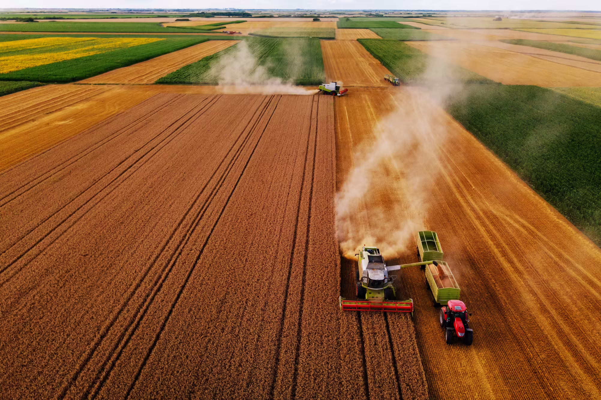 combine harvest a field of crops