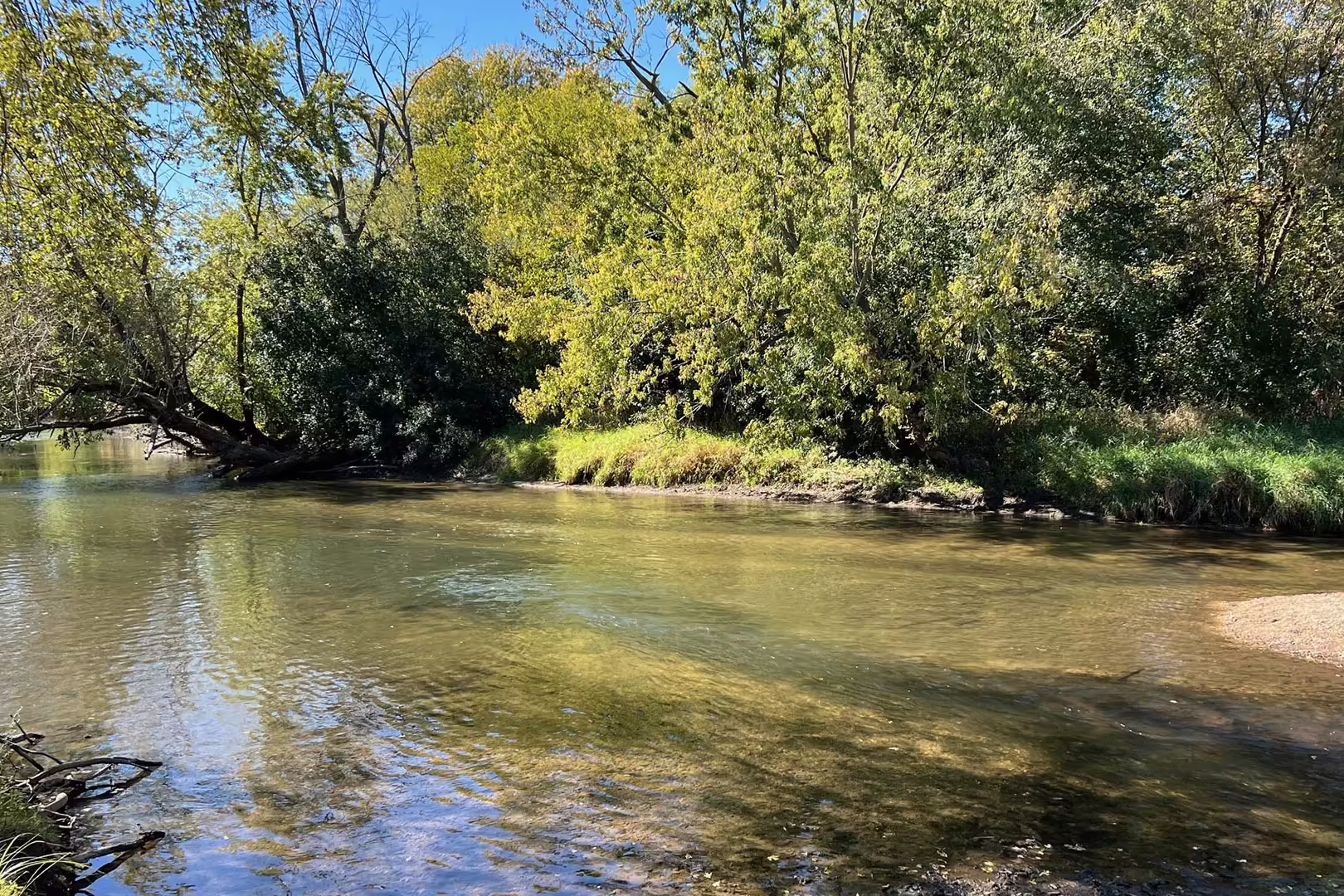 River flowing with green trees