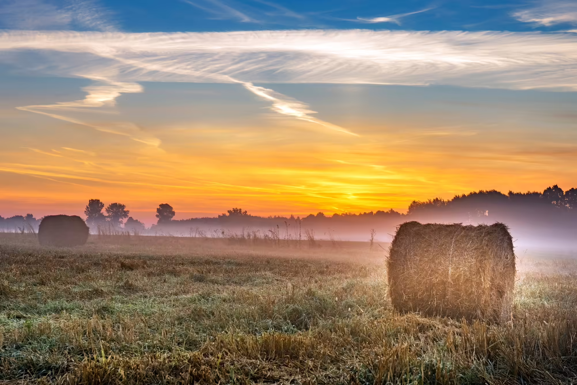 harvest field with the sunrise 
