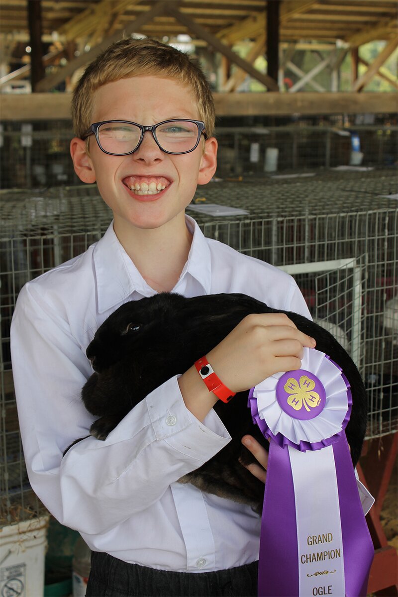 Winners Announced For Ogle County 4 H Rabbit Show Illinois Extension