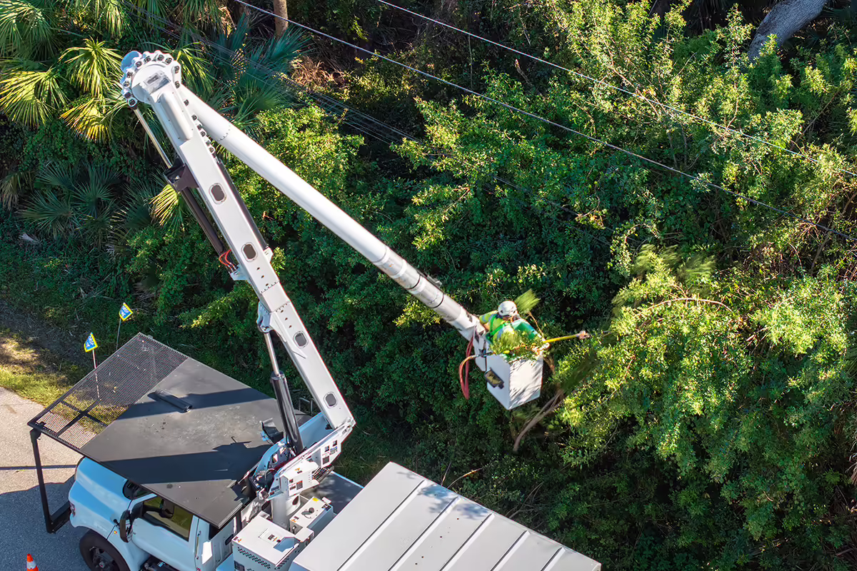 An electrician in a truck trims a tree back from powerlines