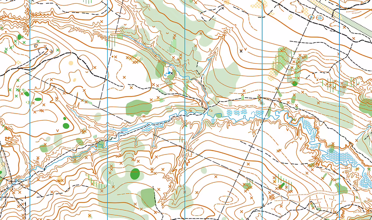 A topographical map