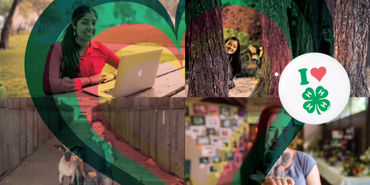 four images of youth - one is on a computer, one is holding up a ribbon next to his sheep, another is holding an art project, and another has three youth peering from behind trees.  Text reads find your spark with an I love 4-H badge in the center