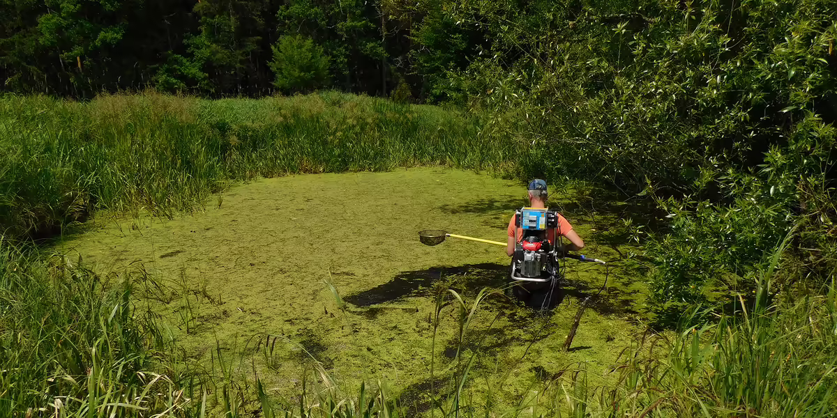 a person with a net in a pond