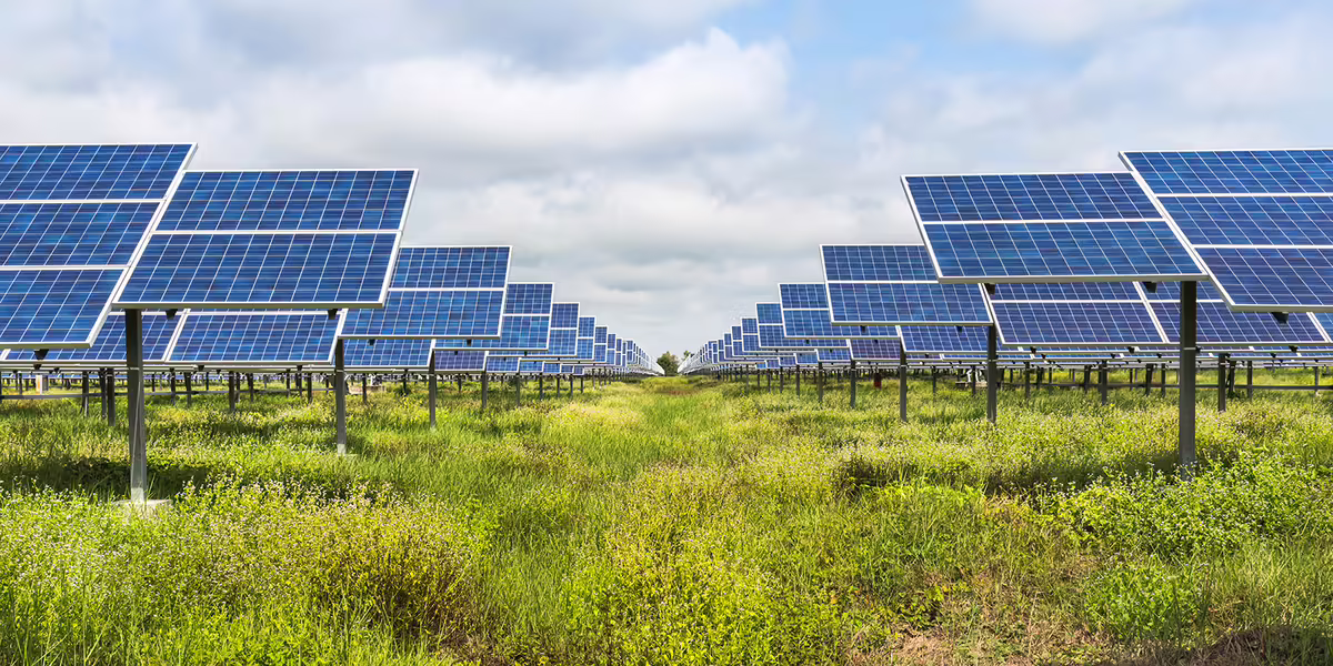 A solar panel field