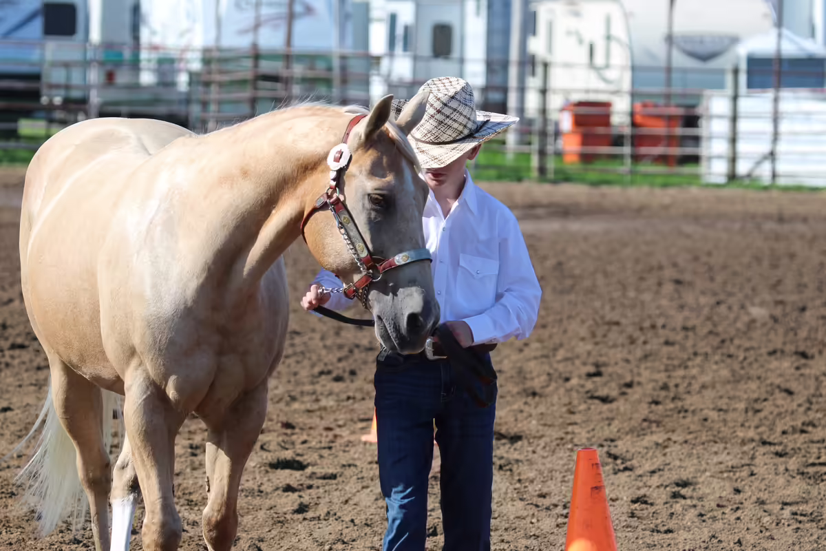 4-H member exhibiting horses at the 2025 Adams County 4-H Fair.