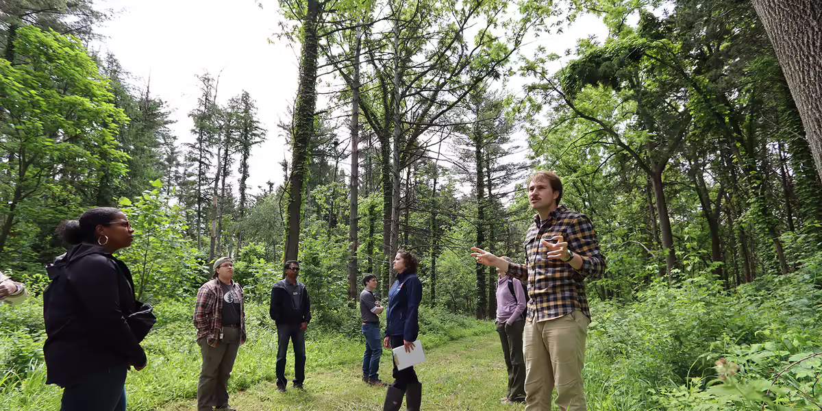 A group of people stand in a forested area