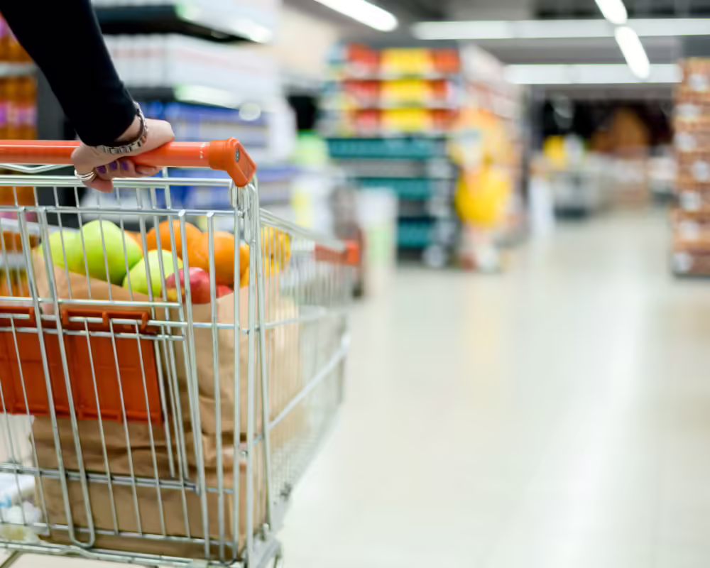 grocery cart full of produce in grocery store