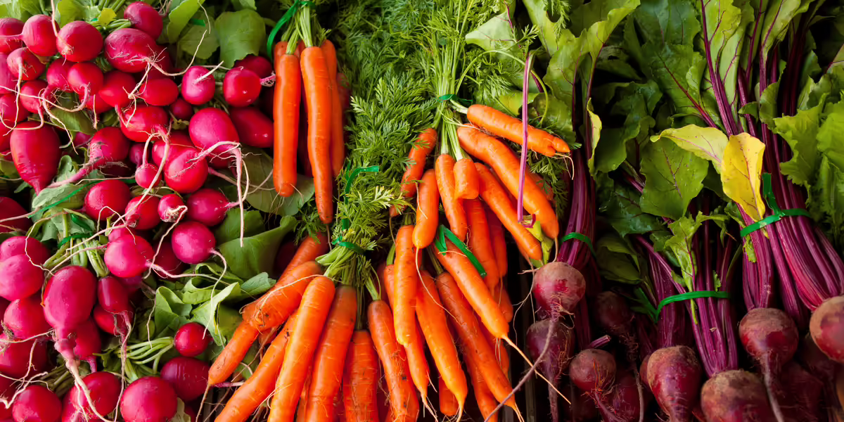 radishes, carrots, and beets