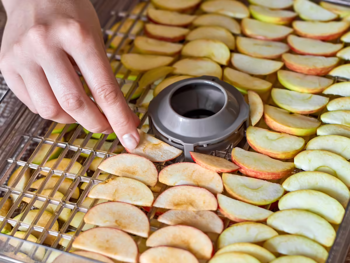 slices of apples drying on a rack