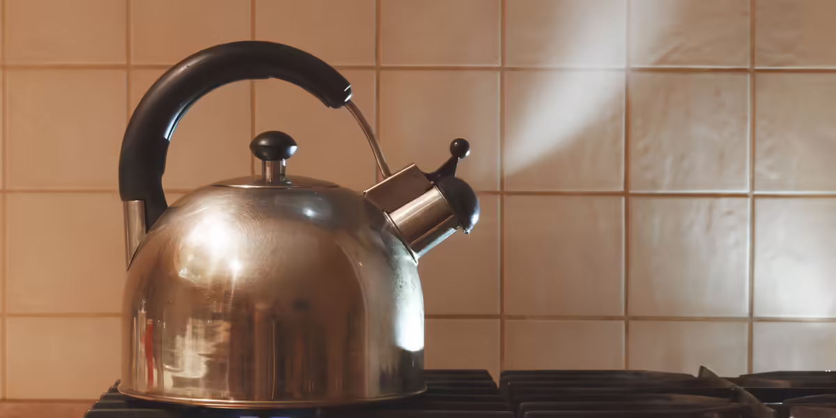 tea kettle with boiling water on stove