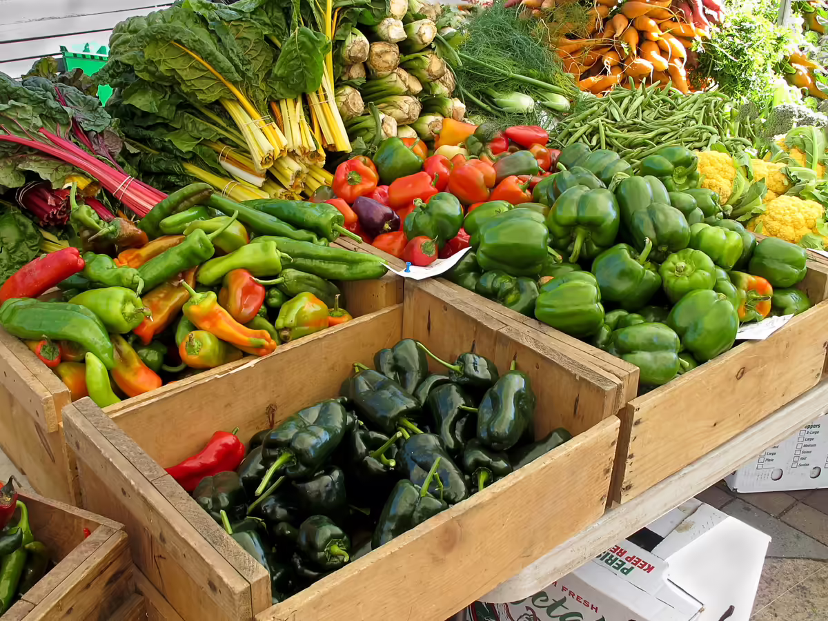 fresh swiss and rainbow chard, peppers, fennel, carrots, and cauliflowerat farmers market
