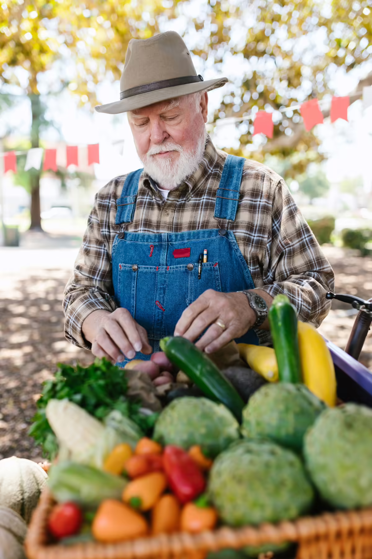 Farmer behind a basket of vegetables