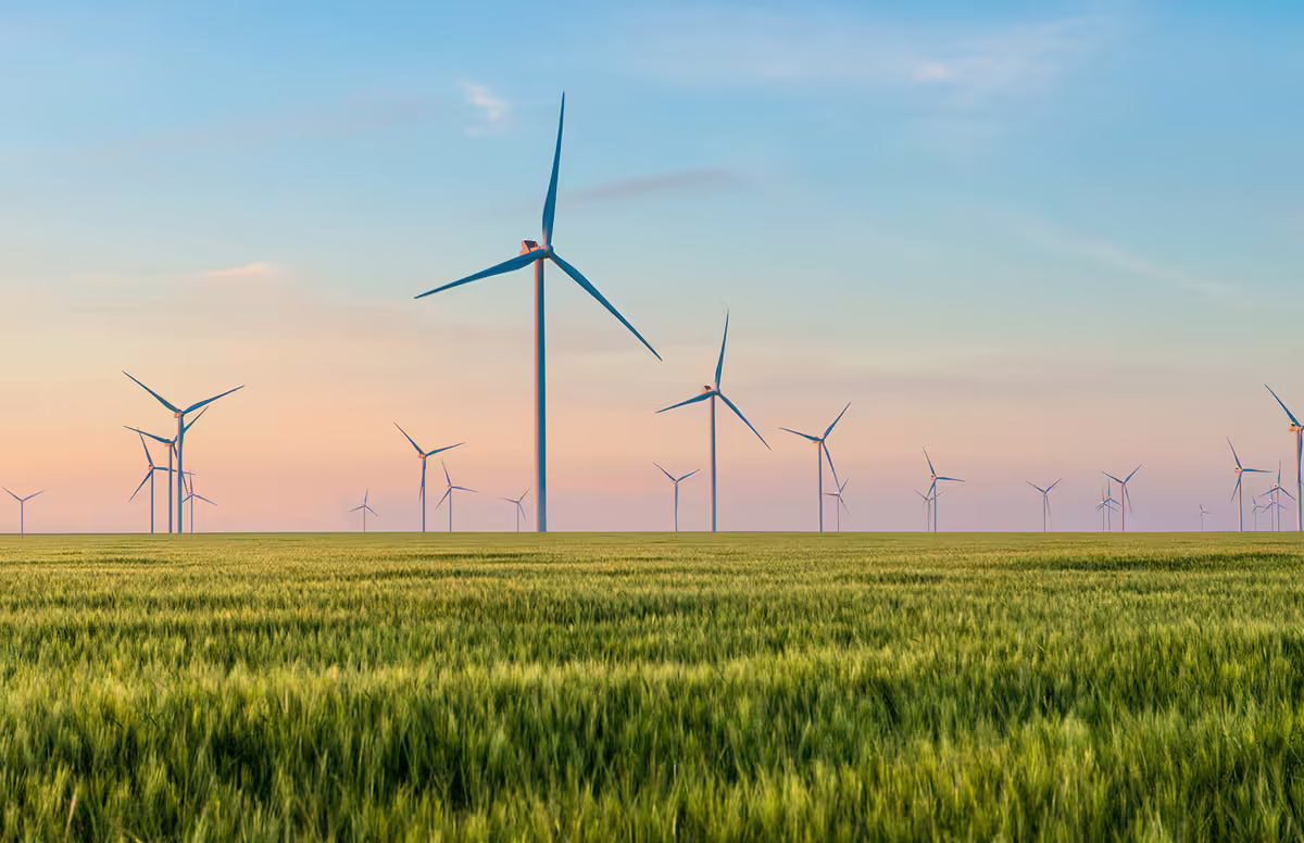 Wind turbines in a field as the sun sets