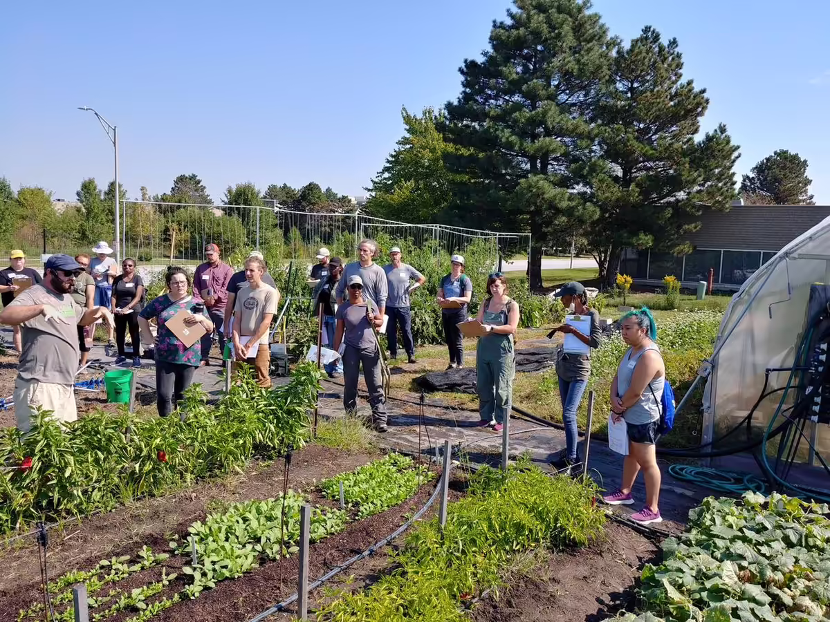students at urban farm 