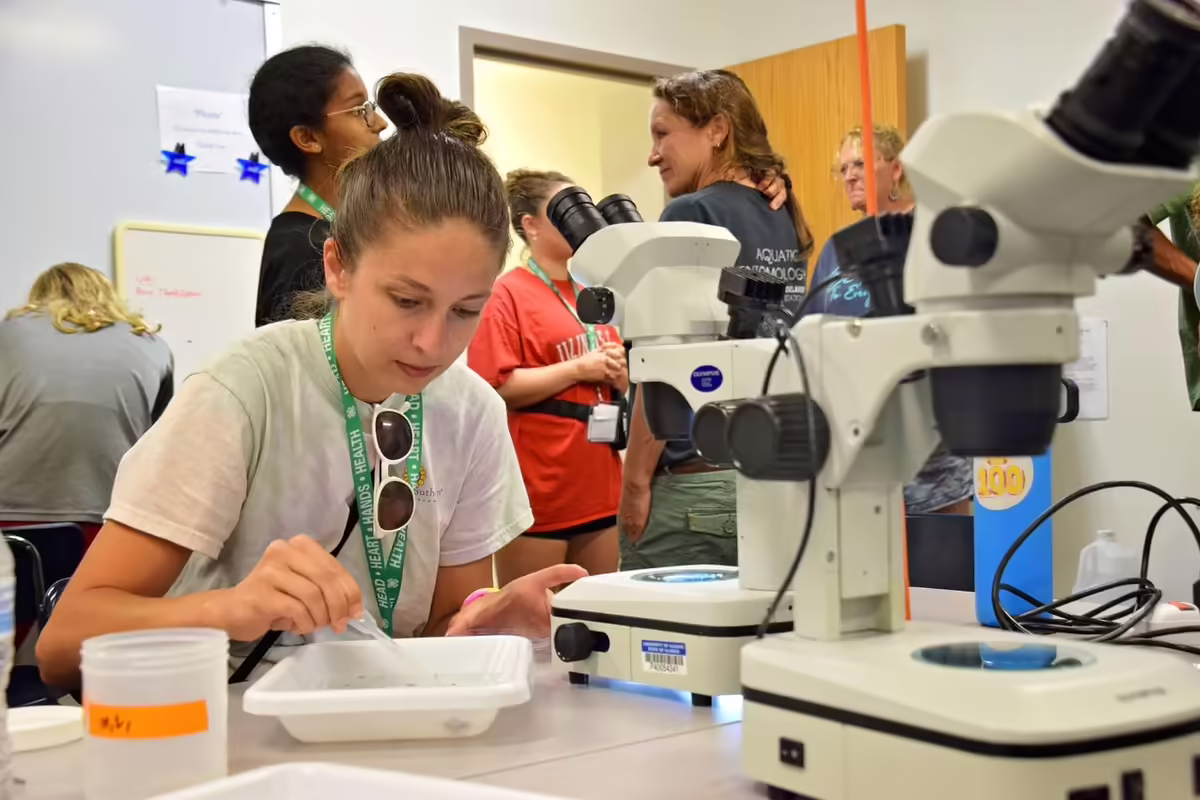 teacher using microscope