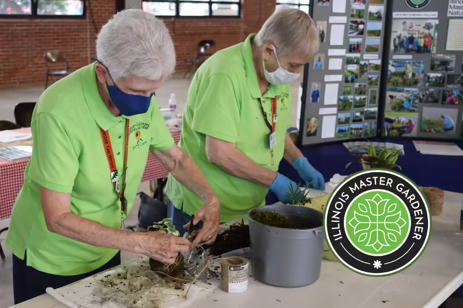 Two women repotting plants