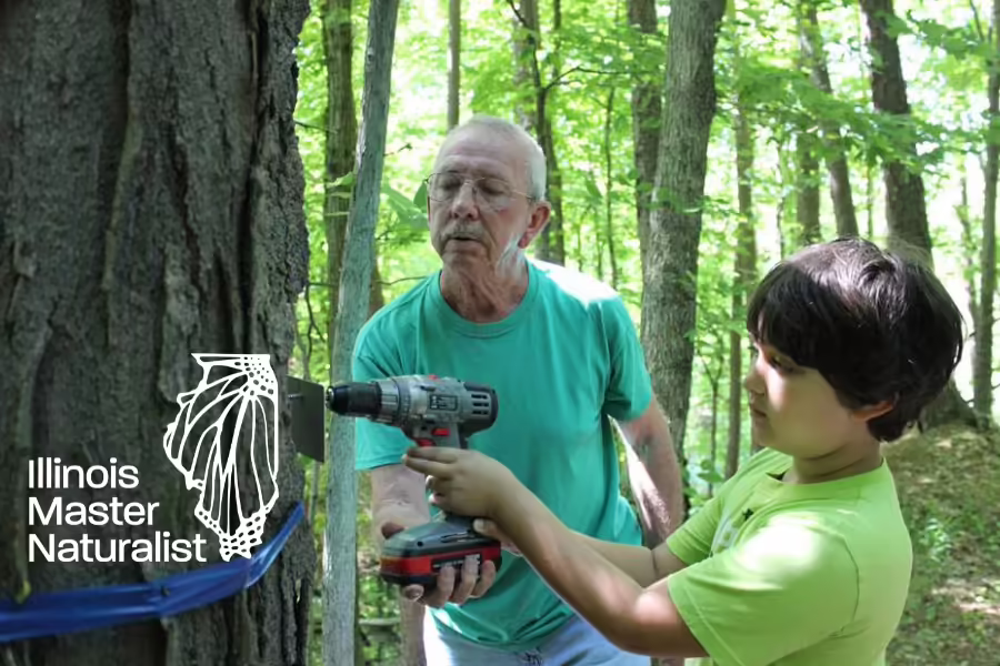 Man and boy adding nameplate to tree
