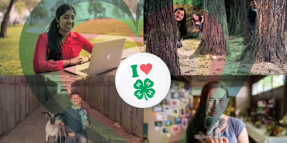 I heart 4-H