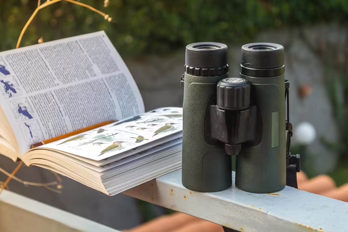 a pair of binoculars next to a bird book
