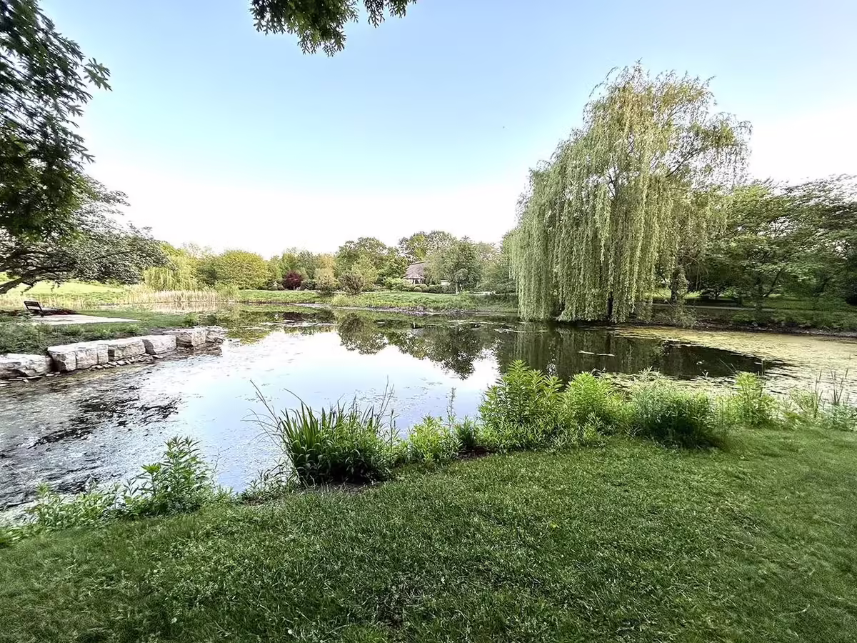 a pond surrounded by plants at the Morton Arboretum