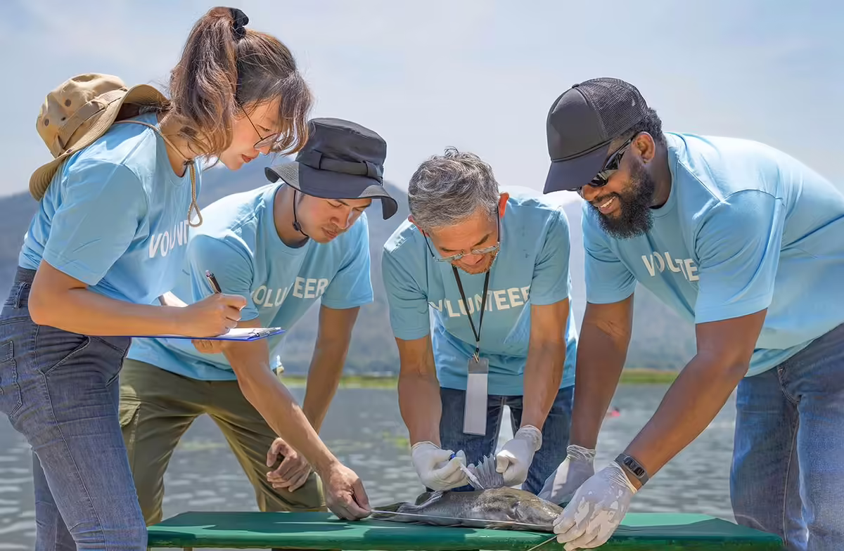 a group of people on the beach stand around a fish they are taking sample from