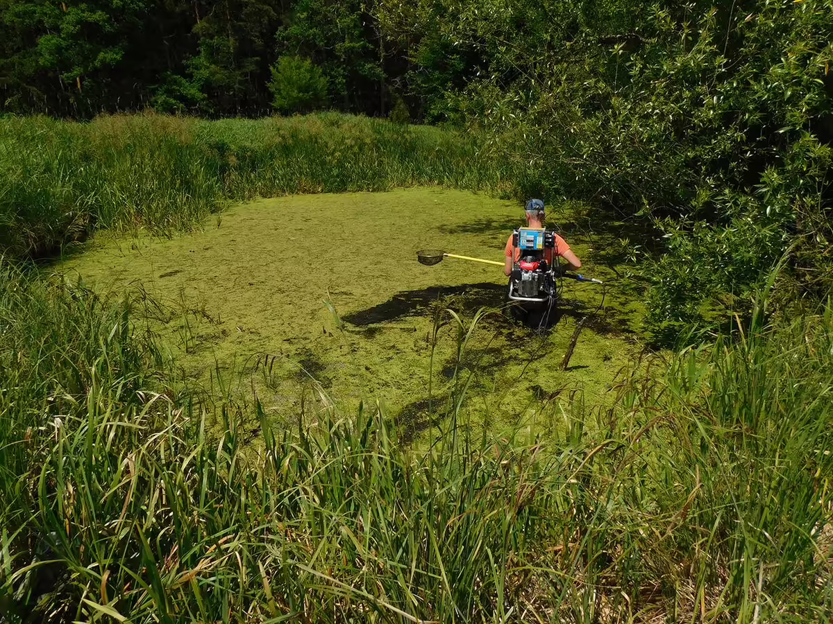 a person collecting a water sample in a wetland 