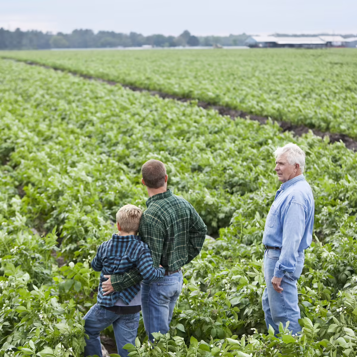 3 generations standing in bean field