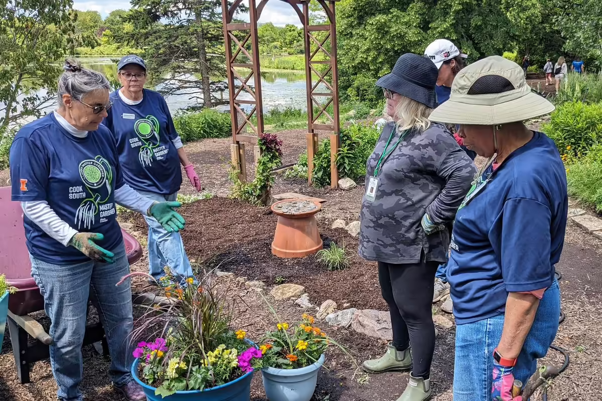 gardeners maintaining a garden