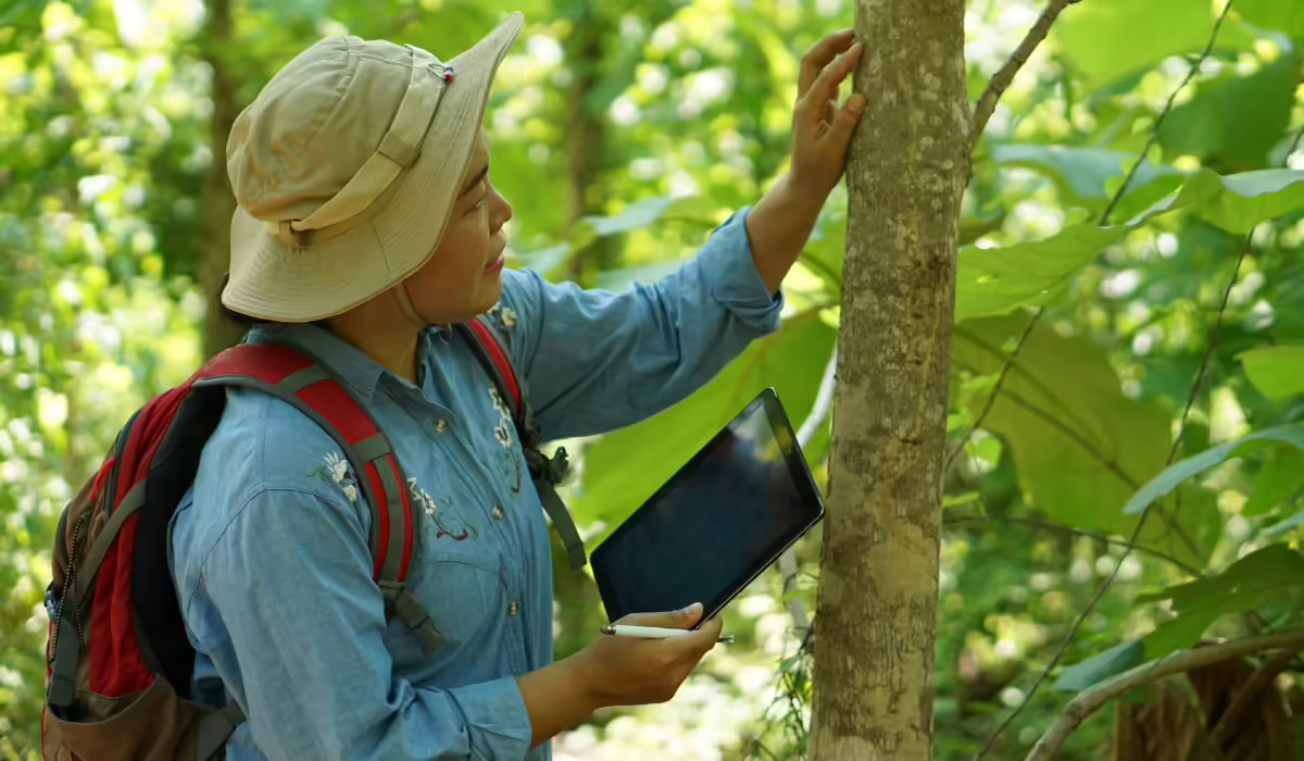 A person studying a tree trunk and holding a notebook.