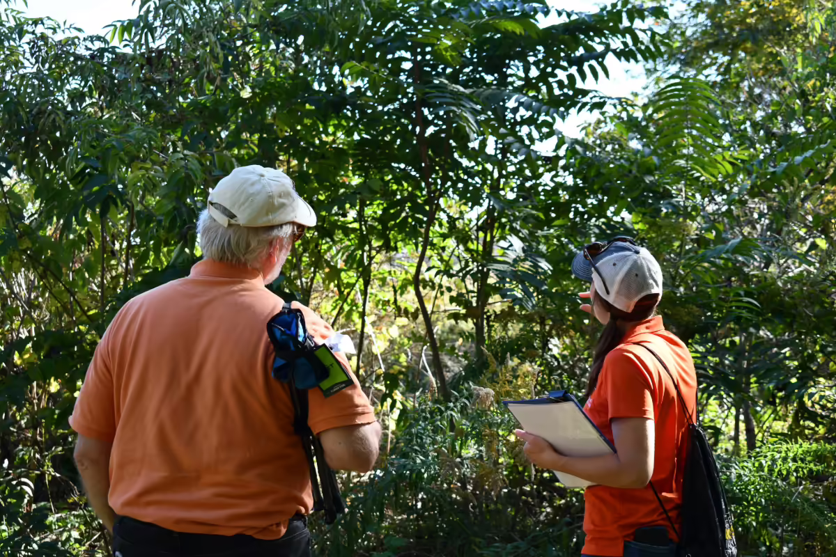Master Naturalists looking at trees