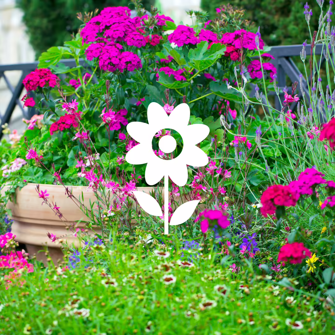 garden of pink and purple flowers