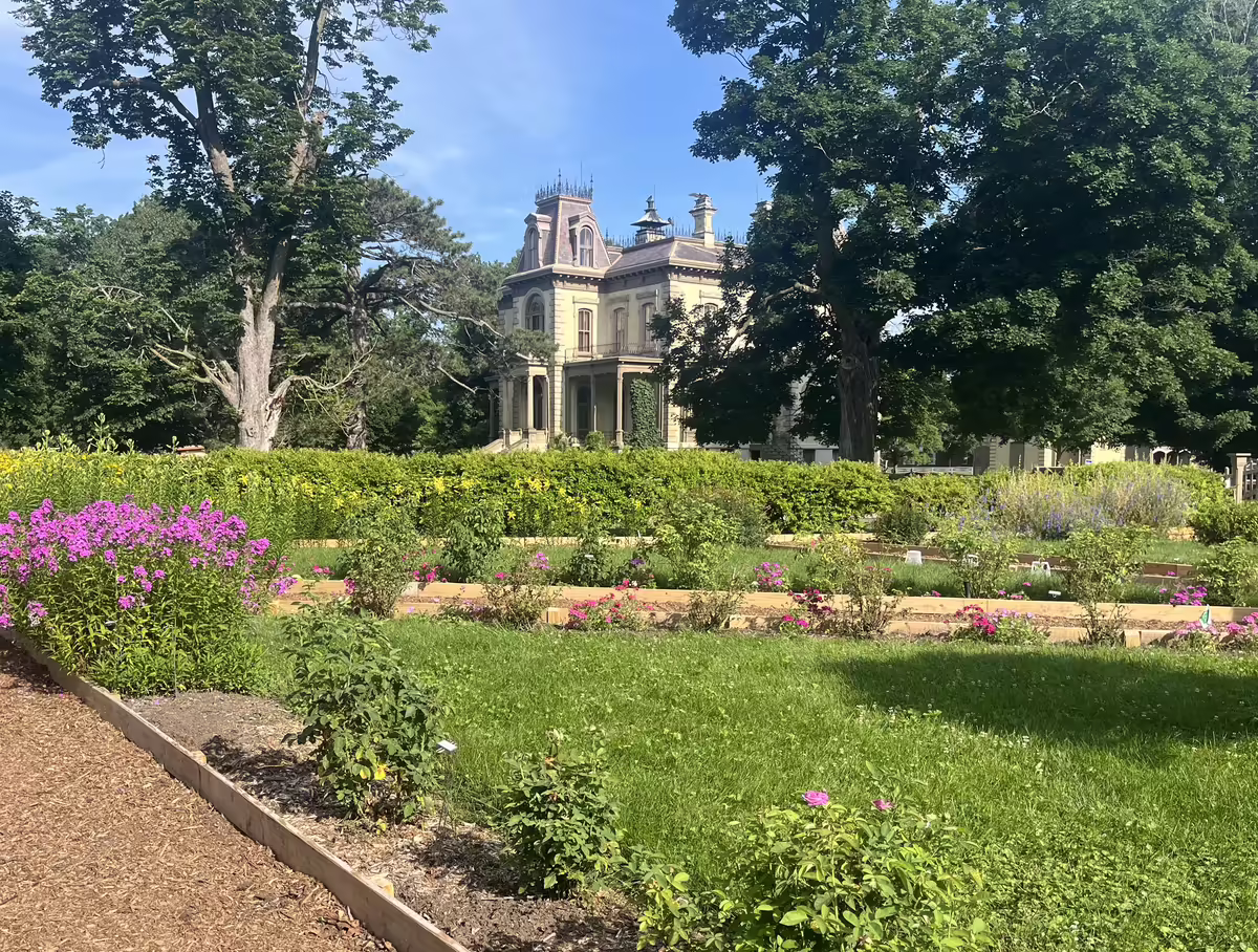 The David Davis Mansion sits beyond the garden with purple and yellow flowers. 