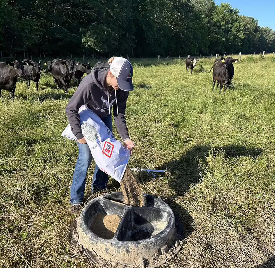student with cow at dsac