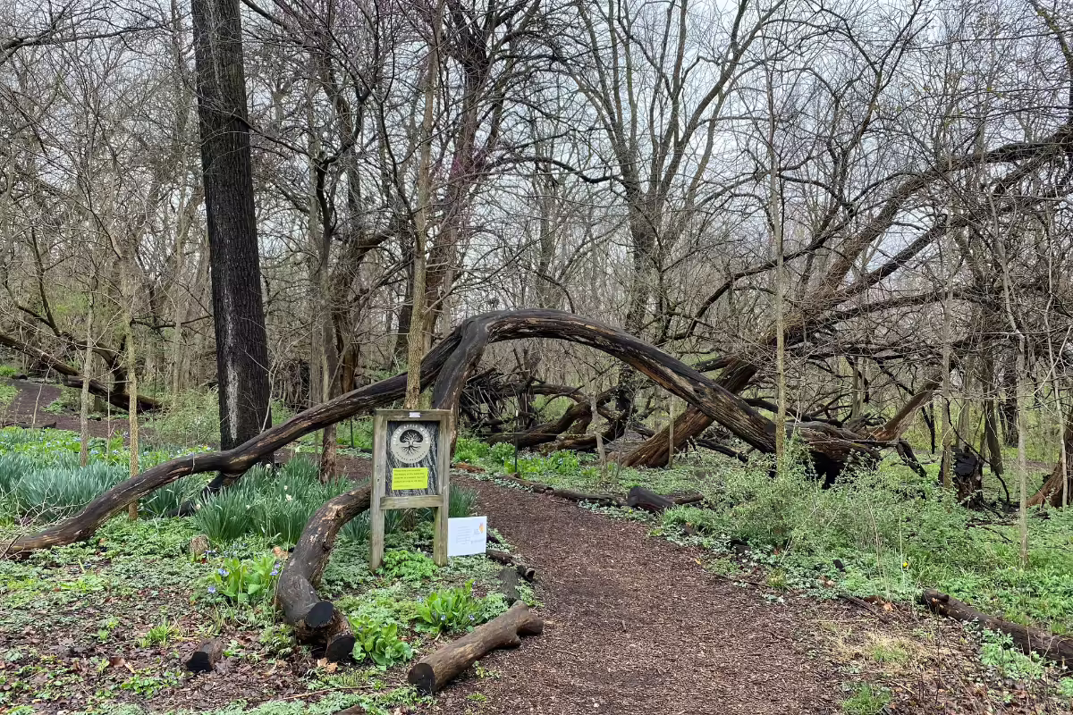Entrance to Hedge Apple Woods