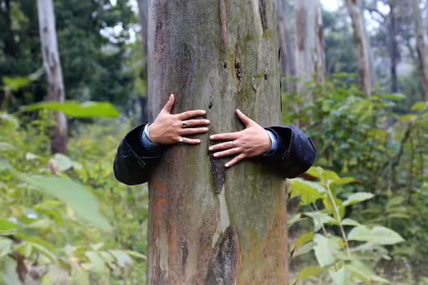 photo of someone hugging a tree