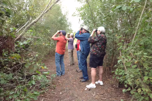 A group of adults bird viewing outside. 