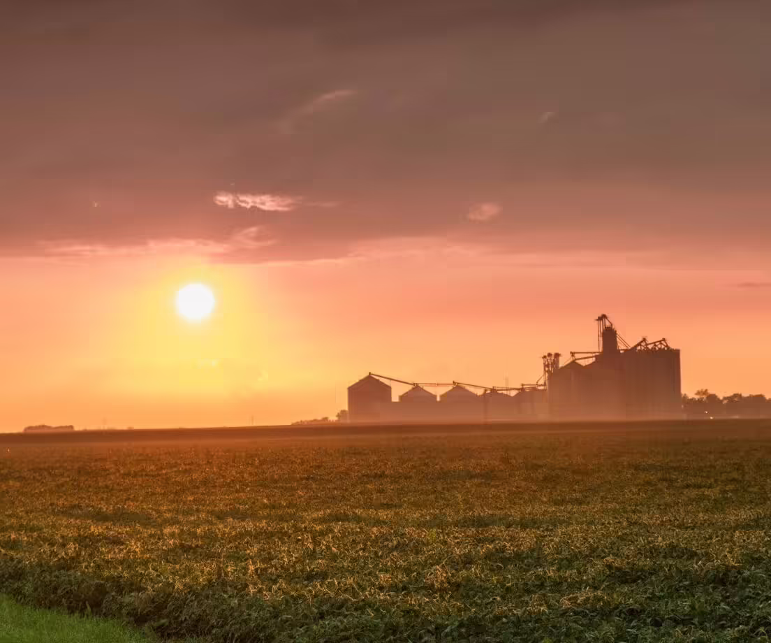 A silhouette of buildings, including several silos, looms in the distance with a setting sun.