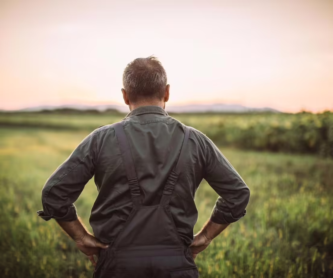 A portrait of a farmer with his back to the camera, hands on his hips, looking off into the distance. 
