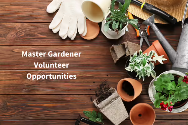 plants and garden tools