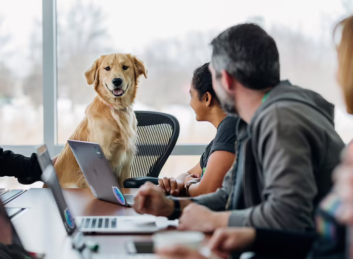 dog sitting on table next to people with computers