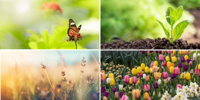 Various ecosystems