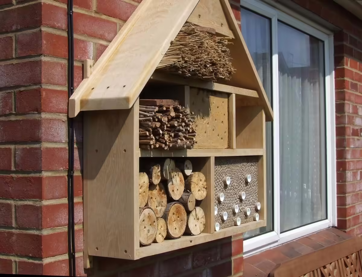 a bee hotel on a brick wall of a building
