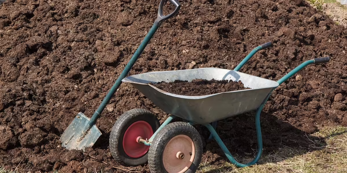 wheelbarrow of ccompated manure next to compost pile
