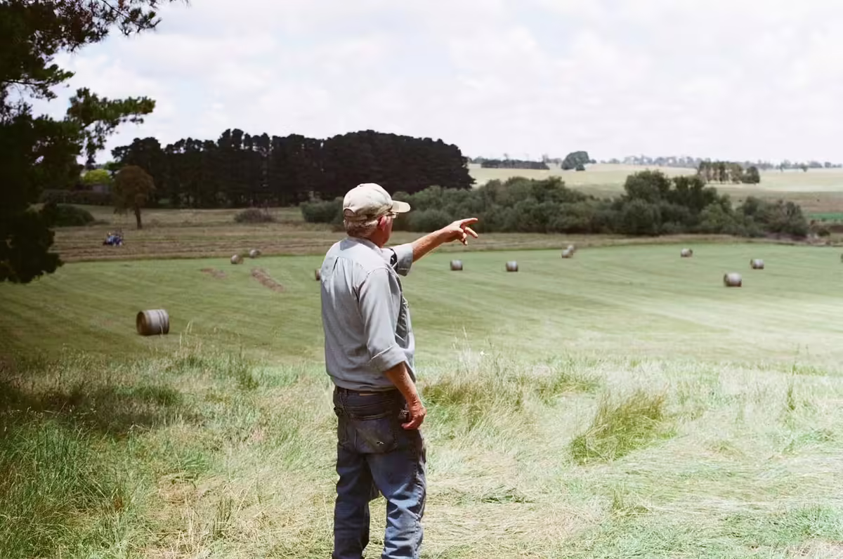 mature farmer pointing to hayfield