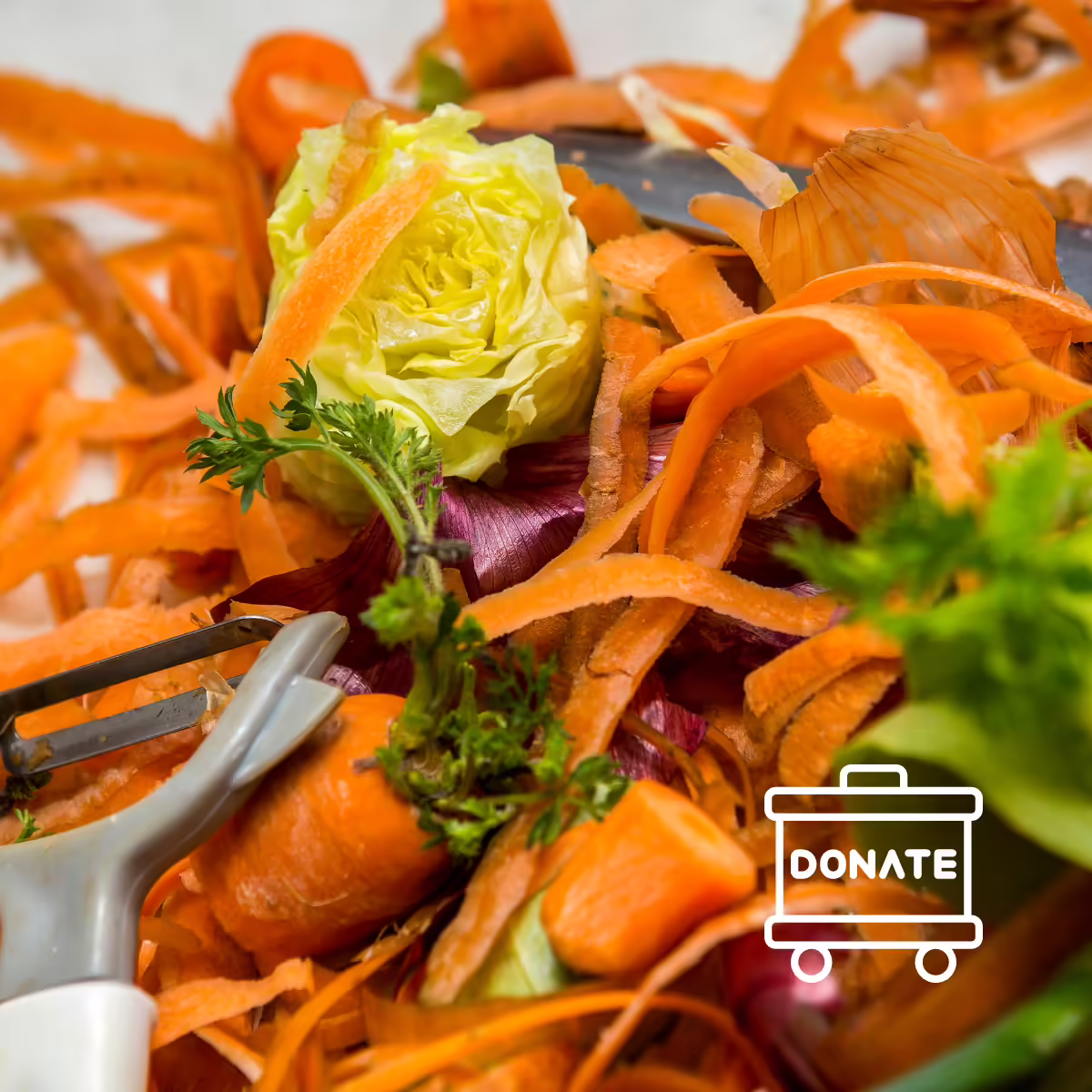 food scraps